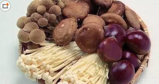 廣西(xī)新概念餐飲投資管理(lǐ)有(yǒu)限公司